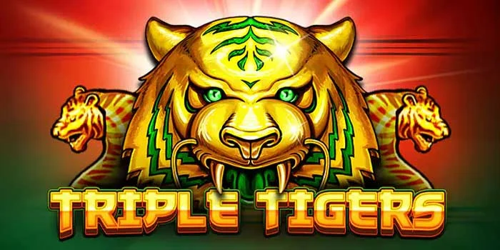Triple-Tigers-Slot-Gacor-Yang-Sangat-Mudah