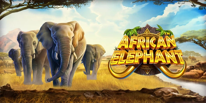 Mengamati Pola Slot African Elephant Dengan Ketelitian Tinggi